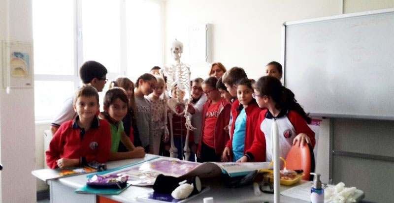 4. Sınıf Öğrencileri İskelet Sistemini İnceledi