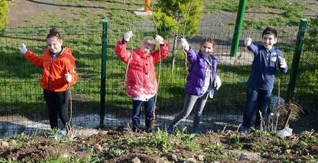 Okul Bahçesine Fidan Dikimi