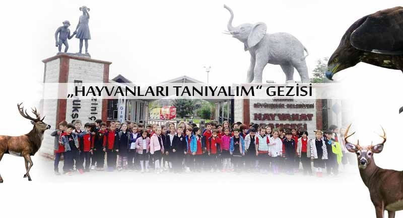 1. Sınıflar Hayvanları Tanıyalım Gezisinde