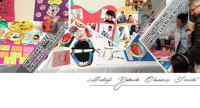 Diş ve Hücre Modelleri Sergisi