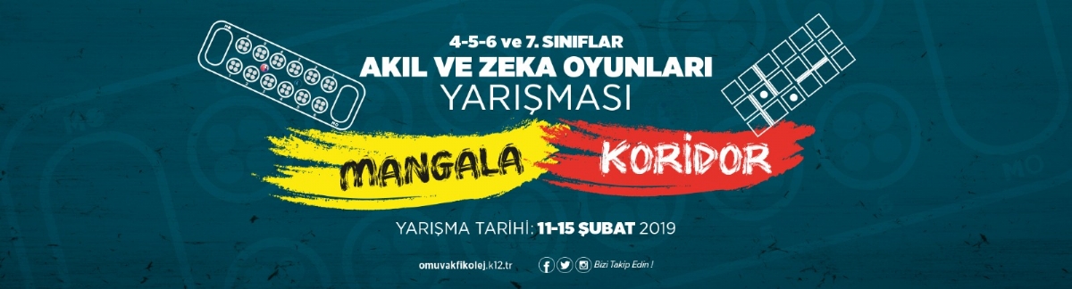 Akıl ve Zeka Oyunları