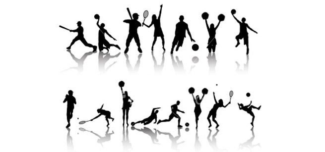 2014-2015 Eğitim Öğretim Yılı Sosyal-sportif Faaliyet Bilgi Formları