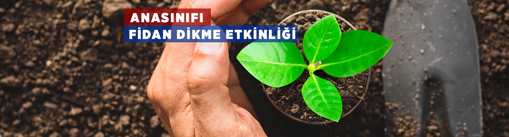 Ana Sınıfı Ağaç Dikme Etkinliği