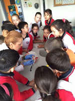 4. Sınıf Öğrencileri İskelet Sistemini İnceledi