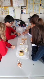 Besinlerin İçeriklerini Keşfediyoruz