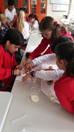 Besinlerin İçeriklerini Keşfediyoruz