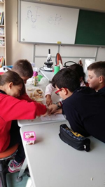 Besinlerin İçeriklerini Keşfediyoruz