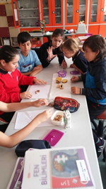 Besinlerin İçeriklerini Keşfediyoruz