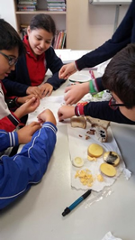 Besinlerin İçeriklerini Keşfediyoruz