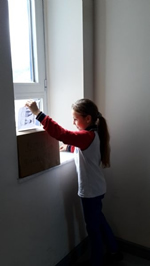 Okul Temsilcisi Seçimleri