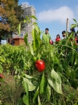 Canik Fen ve Doğa Okulu Ziyareti