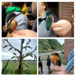 Kızılırmak Deltası Bilim Gezisi