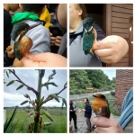 Kızılırmak Deltası Bilim Gezisi